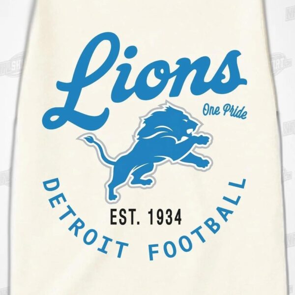 DETROIT LIONS YOU KNOW OUR NAME CLASSIC FIT NFL Shirt - Football Fan Tee 6